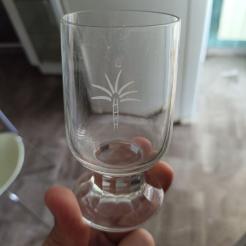 Set of 12 vintage stemmed glasses with etched palm tree
