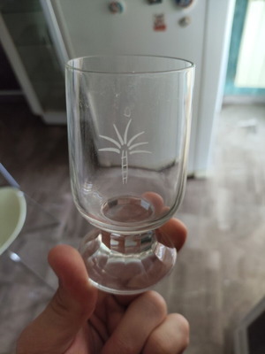 Set of 12 vintage stemmed glasses with etched palm tree