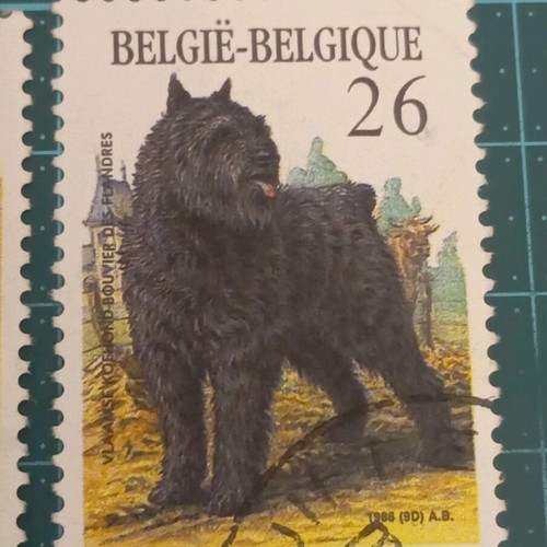 Belgium stamps 1986 like new, dog breeds