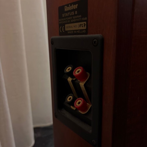 Roister Status 8 floor-standing speakers like new, solid beech wood