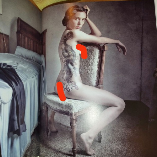 Les 20 meilleurs photographes de nu book like new, French