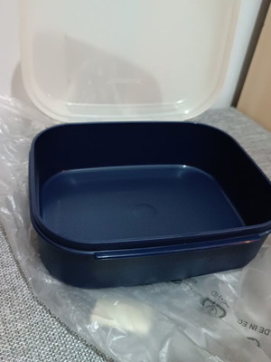 Tupperware Delis 1.1L container new