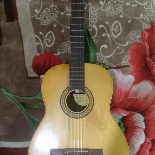 Cristal Reghin classical guitar with Ibanez soft case
