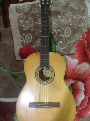 Cristal Reghin classical guitar with Ibanez soft case