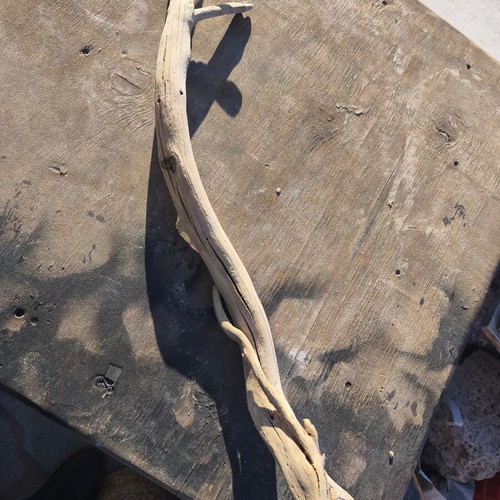 Driftwood for artists, pack of about 80 pieces, natural