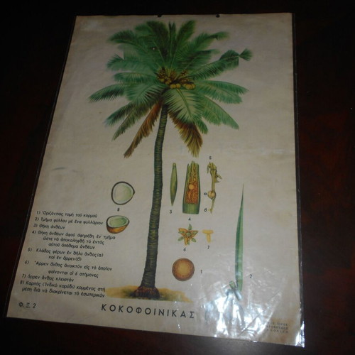 Chromolithograph poster used, size 41x30cm