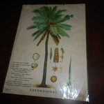 Chromolithograph poster used, size 41x30cm