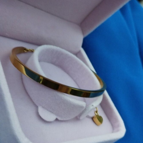 Bangle bracelet stainless steel gold plated new in gift box