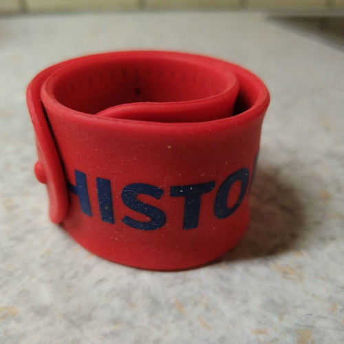 Bracelet from the Natural History Museum of England