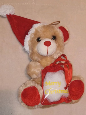 Christmas plush bear with Santa hat and pouch like new