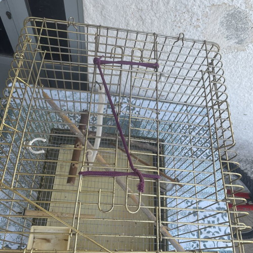 Cockatiel birdcage used, medium size