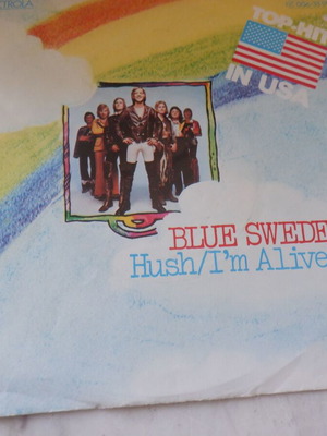 Blue Suede Hush/I'm Alive rare 45rpm vinyl used, German pressing