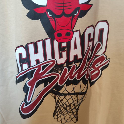 Zara Chicago Bulls T-shirt like new