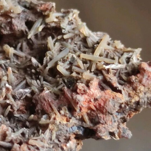 Prasios with garnet new, unique specimen