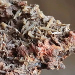 Prasios with garnet new, unique specimen
