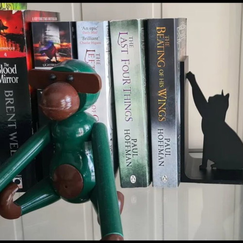 Cat Book Stand new