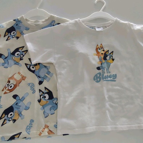 Bluey T-shirt like new, set of 2, Zara & H&M, ages 4-6