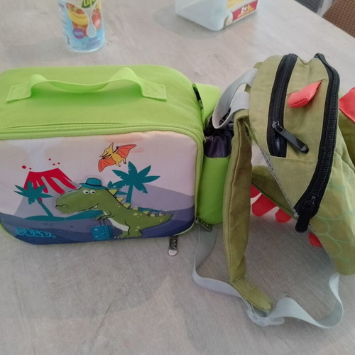 Insulated lunch bag and small backpack like new