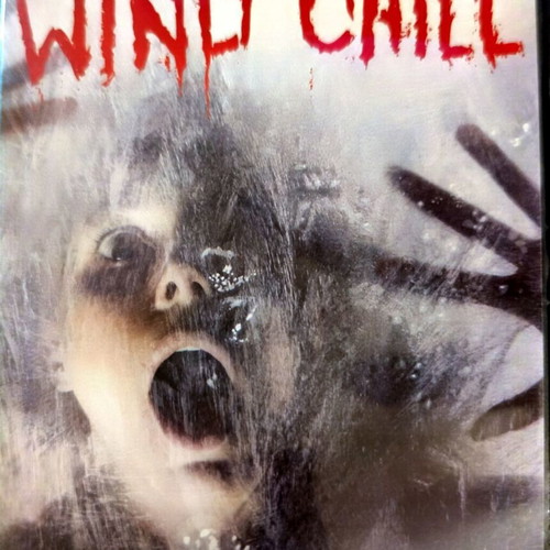 Wind Chill DVD horror movie used with Emily Blunt, English subtitles