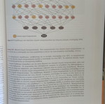 Data Mining book like new, Greek language