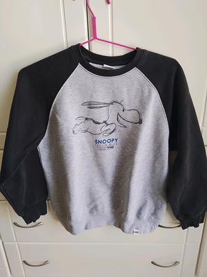 Zara Peanuts kids sweatshirt used, size 152 cm, grey with black sleeves