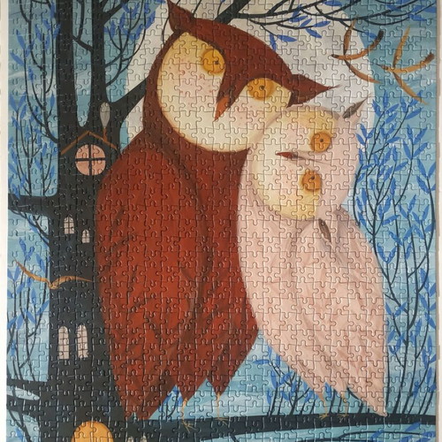 D-toys puzzle 1000 pieces like new from Owl tales collection