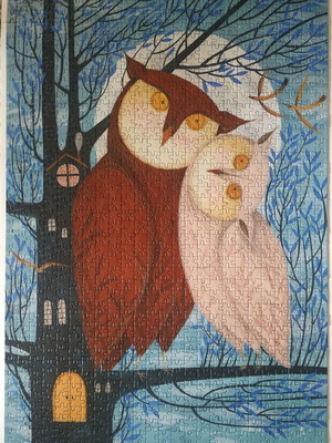 D-toys puzzle 1000 pieces like new from Owl tales collection