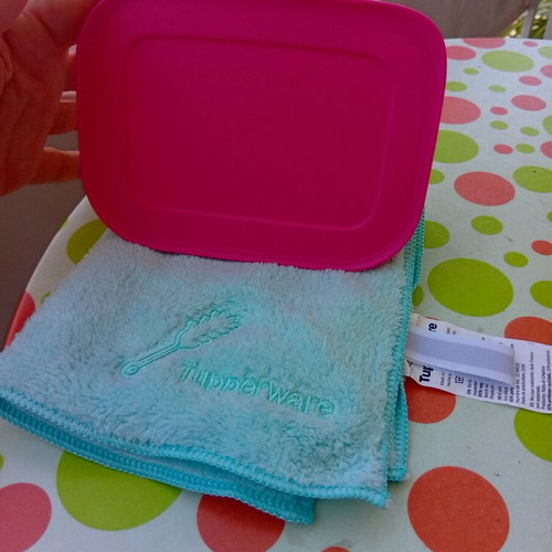 Tupperware ice cube tray 12 slots and dusting cloth new