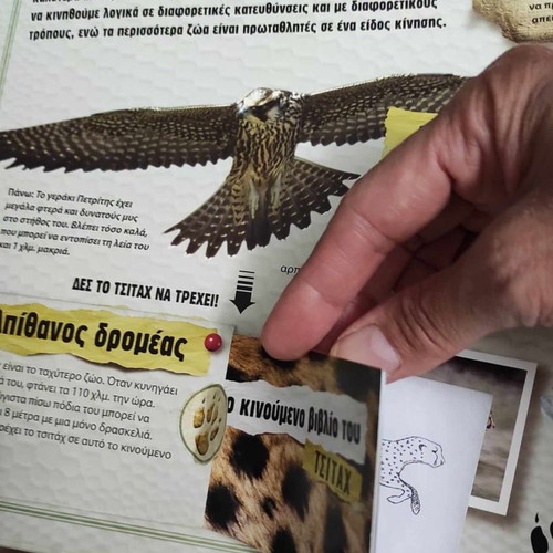 Children's 3D book with animals in excellent condition