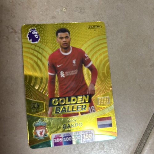 Golden Baller 2024-2025 Premier League like new