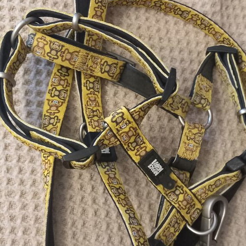 Max and Molly dog harness and leash like new, size M