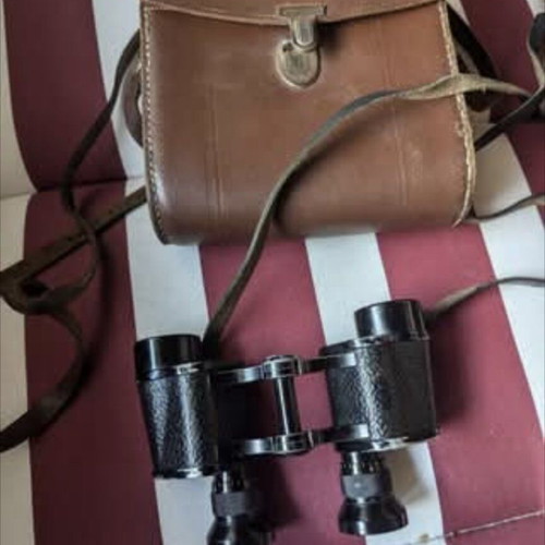 Carl Zeiss Jena Telex 6x24 binoculars used, historic 1919 model