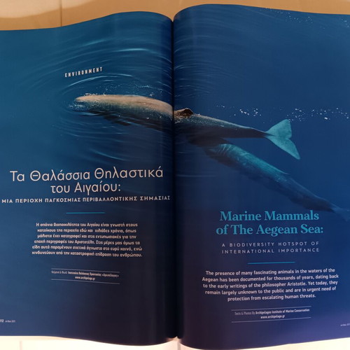 Onblue magazines by Blue Star Ferries, issues 2025 and 2026