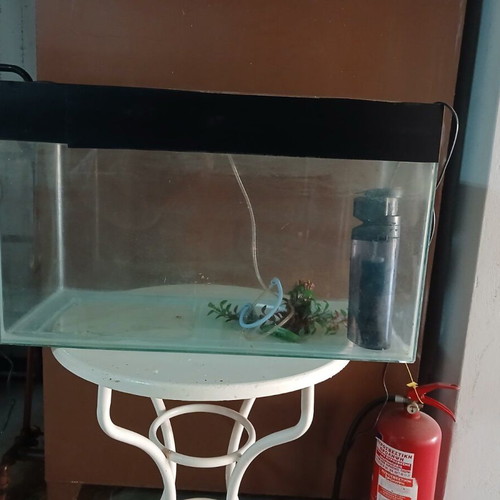 Aquarium used with lighting, filter, oxygen device, and decoration
