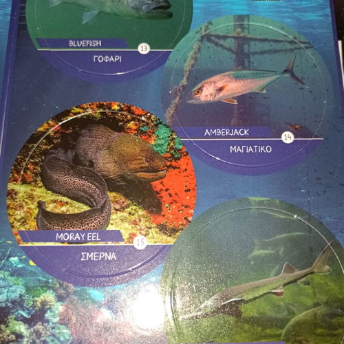 Goody's Junior Explore the Mediterranean game new, complete set