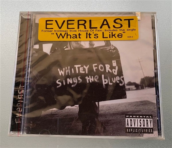  Everlast - What it's like sfragismeno cd