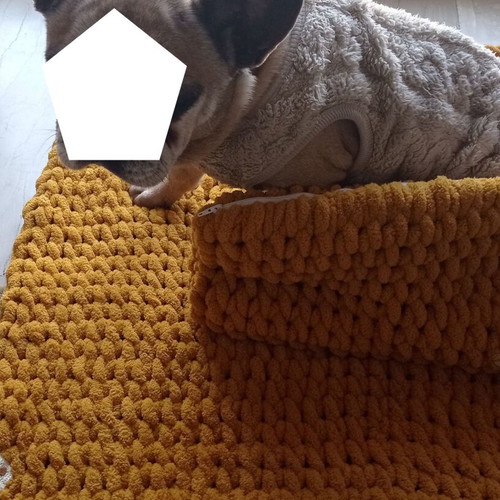 Handmade pet set with Alize Puffy yarn, hypoallergenic, mustard color