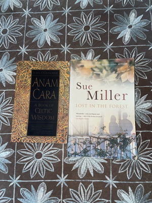 Set of 2 literature and philosophy books like new, Sue Miller & John O’Donohue