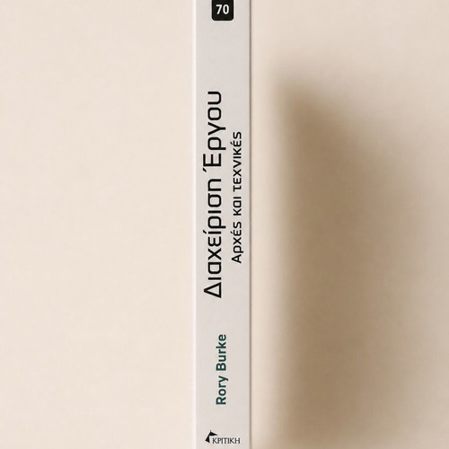 Project Management Principles and Techniques Rory Burke like new