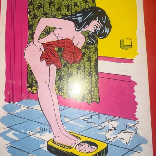 Comic book used with 66 erotic cartoons and handwritten translation