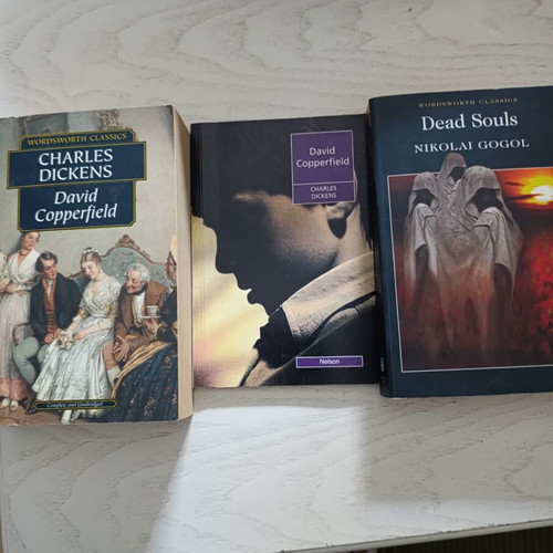 Classic novels in English like new, book set
