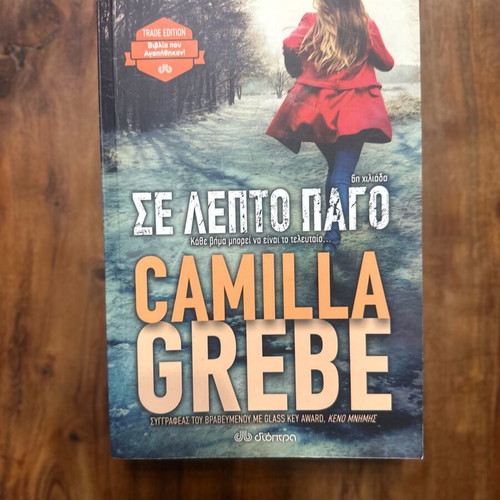 Thin Ice book like new