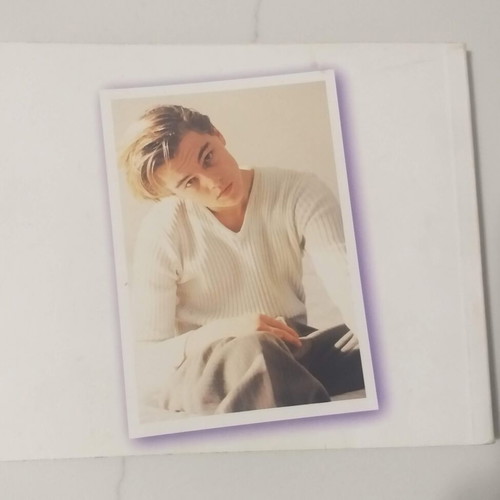 Leonardo DiCaprio Afisorama booklet used, late 90s biography