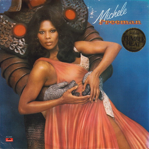 Michele Freeman vinyl record used, electronic genre