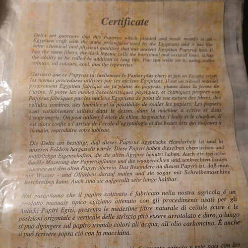 Egyptian papyrus used with certificate of authenticity 32×42