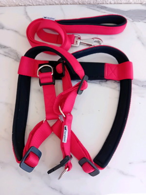 Ferplast leash with harness new, adjustable for large dogs