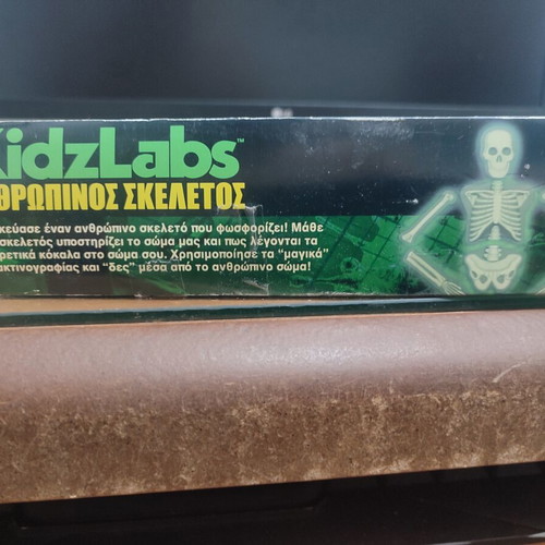 4M KidzLabs Human Skeleton educational toy