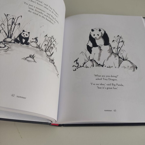 Big Panda and Tiny Dragon children's book like new, English