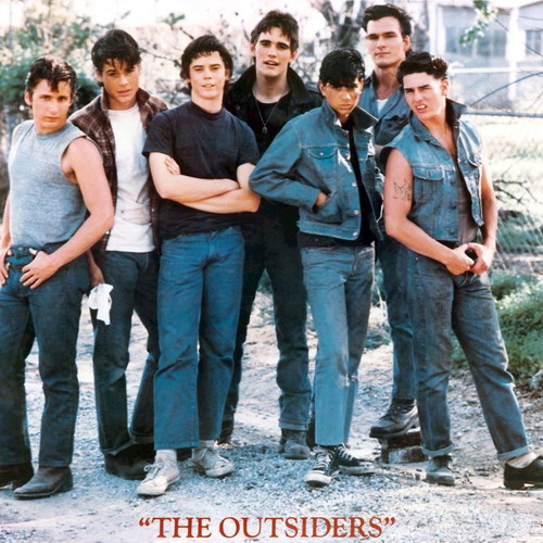 The Outsiders DVD like new with subtitles