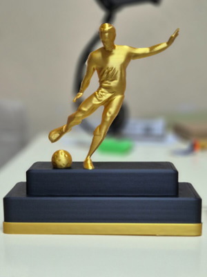 Best Player Award like new